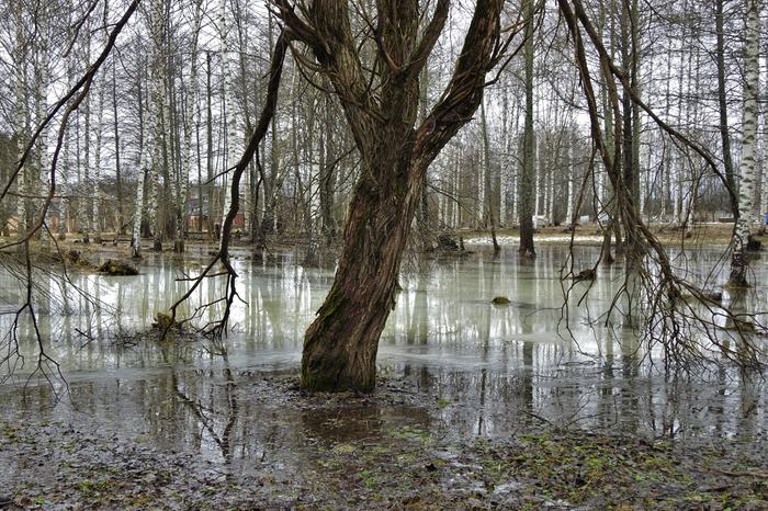 Tulvia Jyväskylässä helmikuussa 2020.